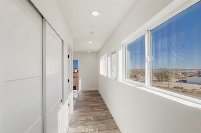 hallway featuring hardwood / wood-style flooring