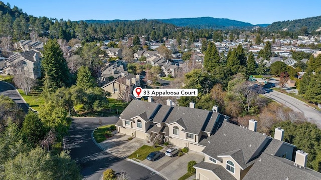 drone / aerial view featuring a mountain view