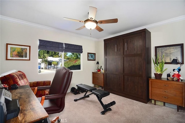 carpeted home office featuring ceiling fan and ornamental molding