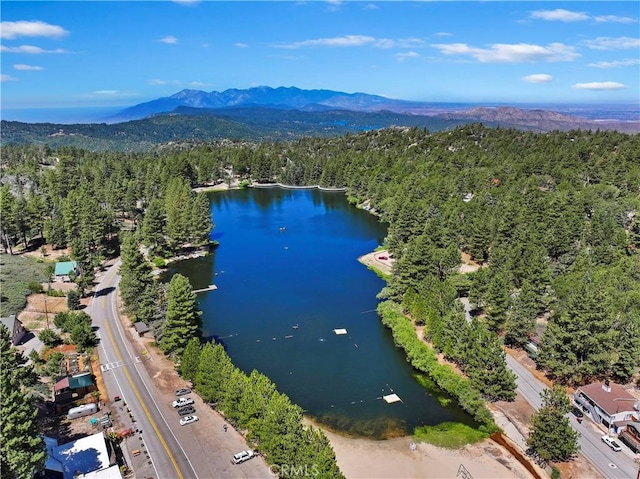 birds eye view of property featuring a water and mountain view