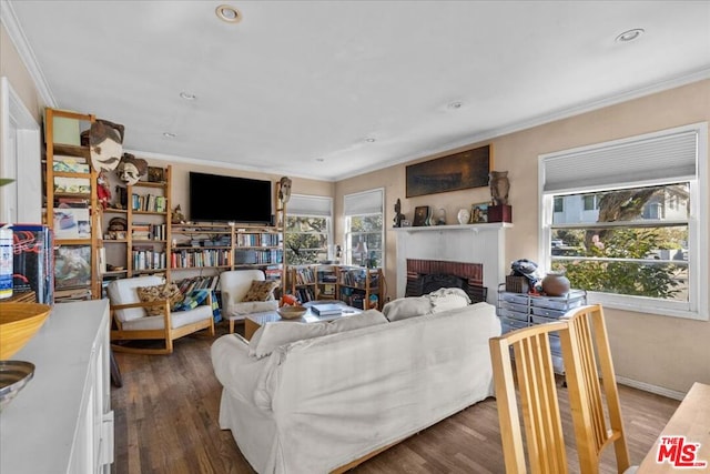 living room with a fireplace, ornamental molding, and dark hardwood / wood-style floors