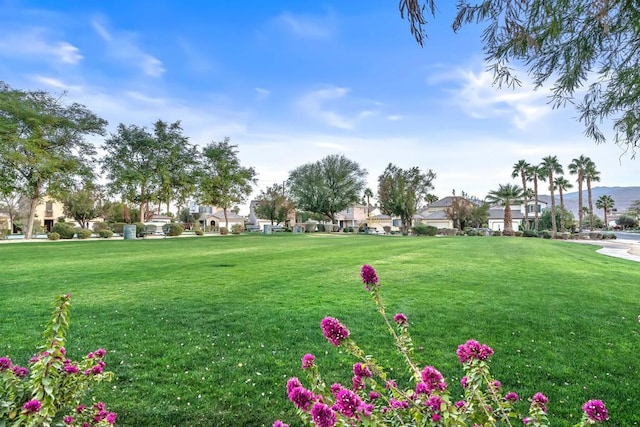 surrounding community featuring a lawn