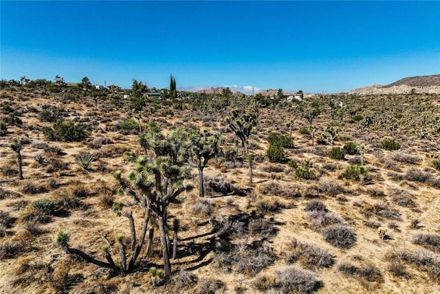 Listing photo 2 for 56325 Skyline Ranch Rd, Yucca Valley CA 92284