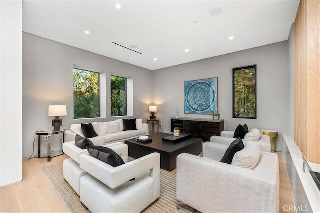 living room with light hardwood / wood-style flooring