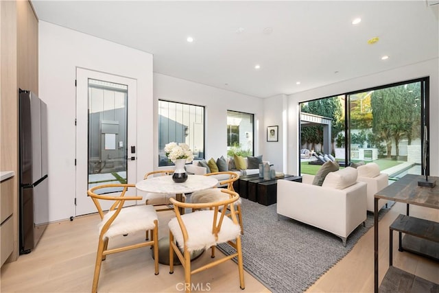 living room with light wood-type flooring