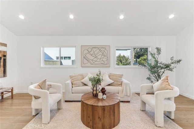 living area with light wood-type flooring