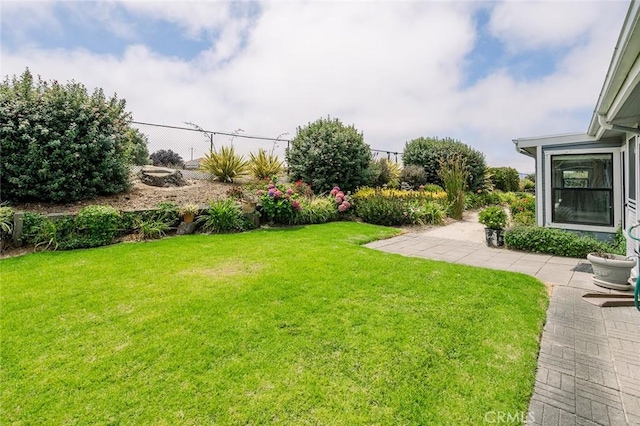 view of yard featuring a patio