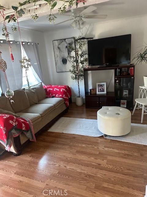 living room with hardwood / wood-style flooring and ceiling fan