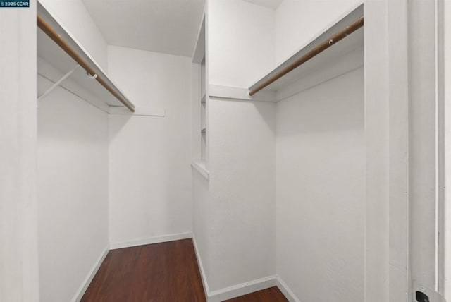 walk in closet featuring dark wood-type flooring