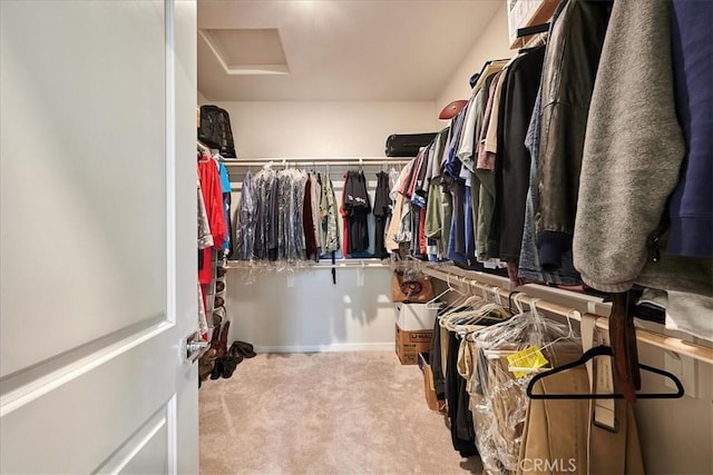 walk in closet with carpet floors