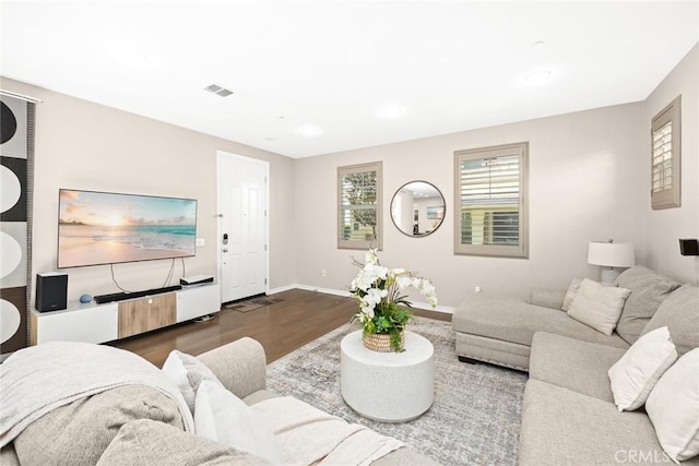 living room with wood-type flooring