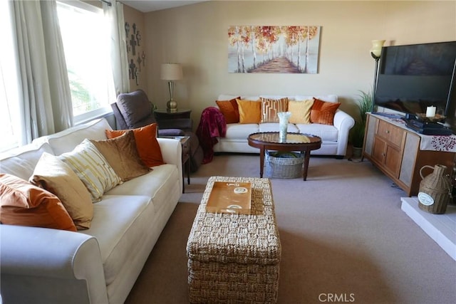 living room featuring carpet flooring