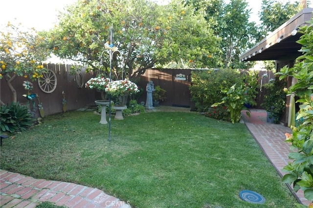 view of yard