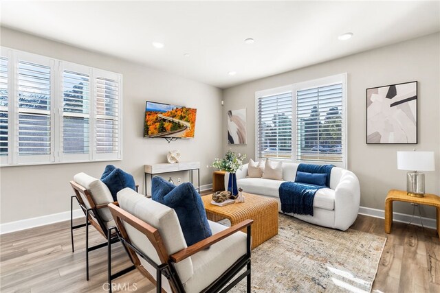 living room with light wood-type flooring