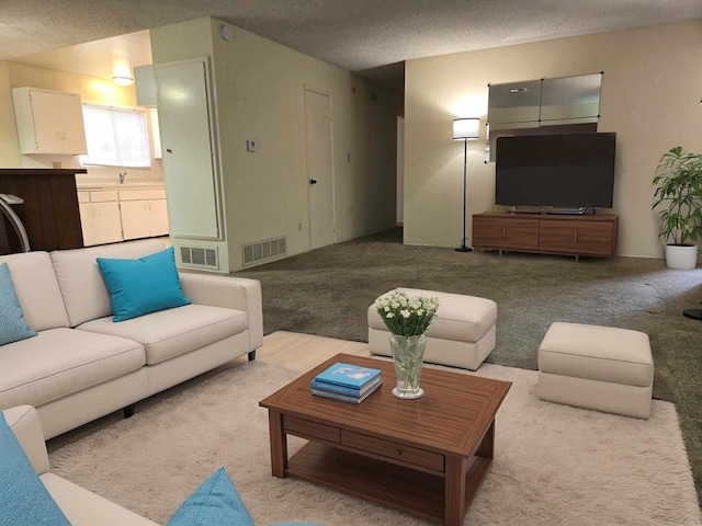 carpeted living room featuring a textured ceiling