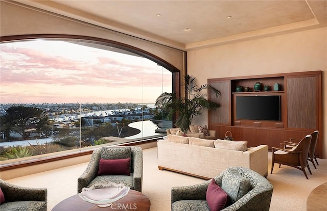 living room featuring carpet flooring