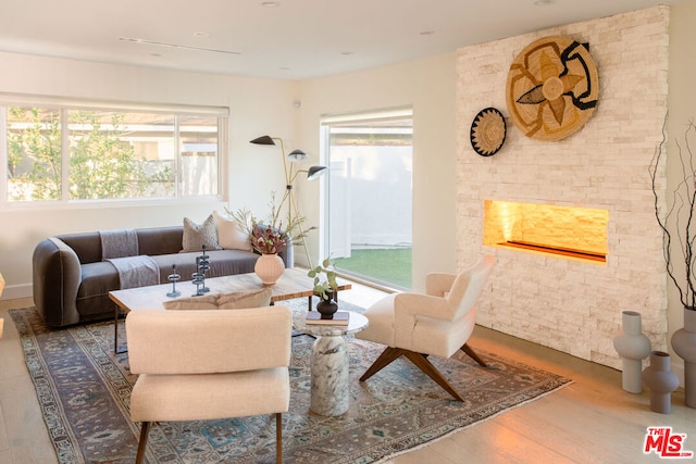 living room featuring hardwood / wood-style flooring