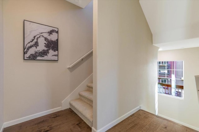 staircase with wood-type flooring