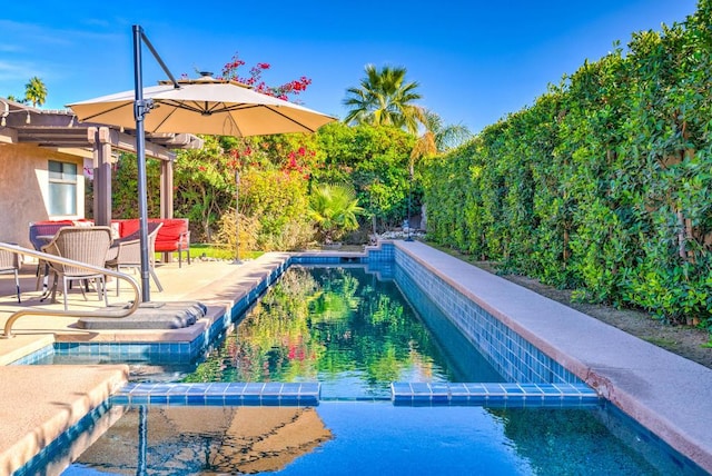 view of pool featuring a patio