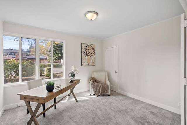 carpeted office featuring plenty of natural light