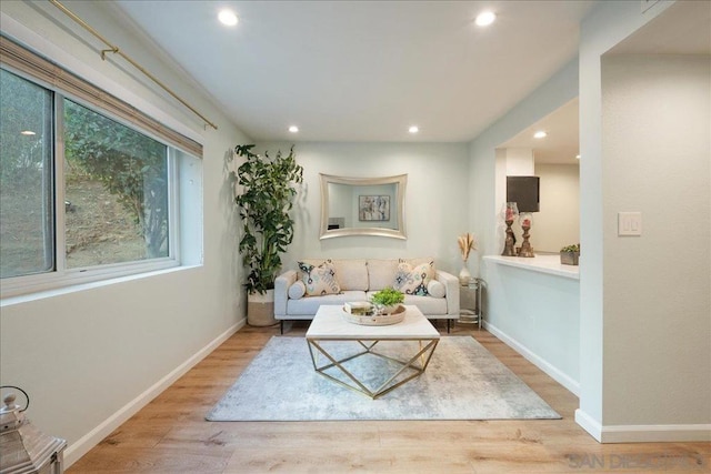 living room featuring light hardwood / wood-style floors