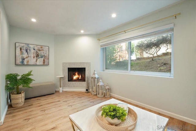 sitting room featuring a premium fireplace and light hardwood / wood-style floors