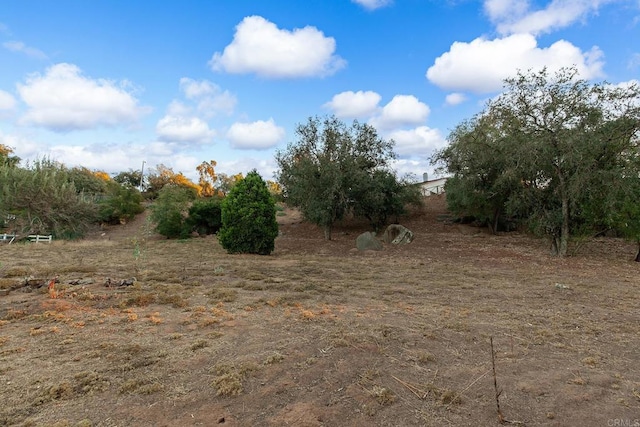 view of local wilderness with a rural view