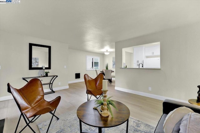 living room with light hardwood / wood-style flooring