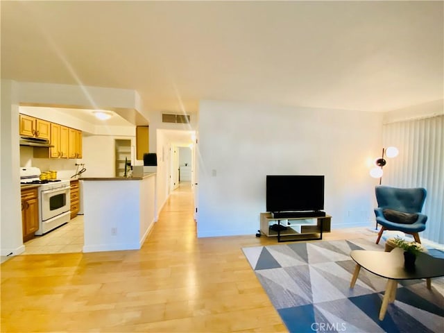 living room with light hardwood / wood-style floors