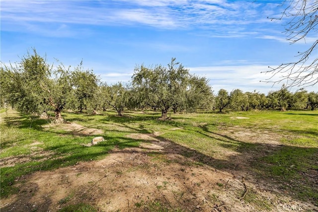 view of landscape with a rural view