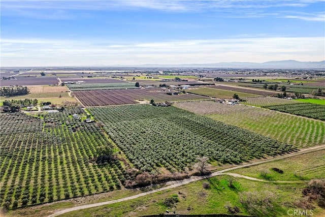 birds eye view of property with a mountain view and a rural view