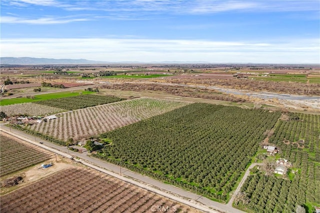 drone / aerial view with a rural view and a mountain view