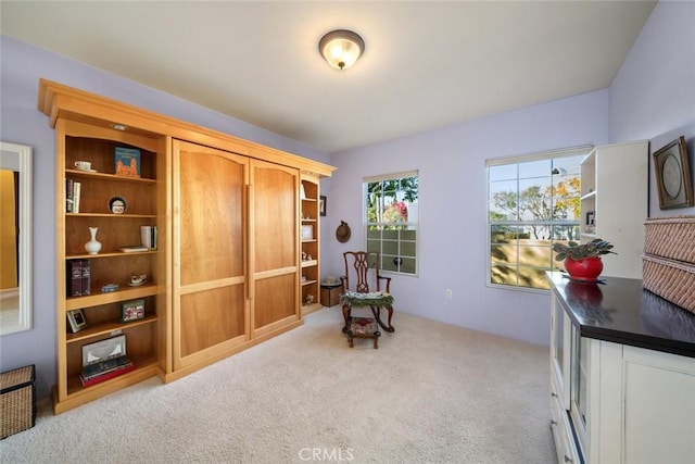 sitting room featuring light carpet and radiator