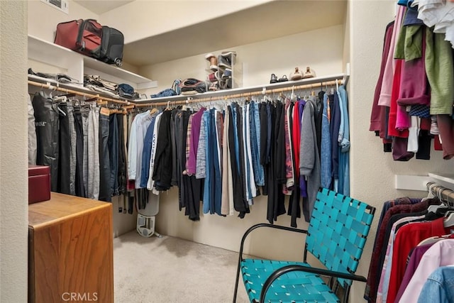 spacious closet with carpet floors