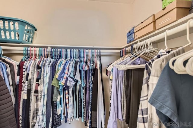 view of spacious closet