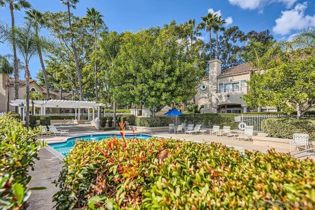 view of swimming pool with a pergola and a patio area