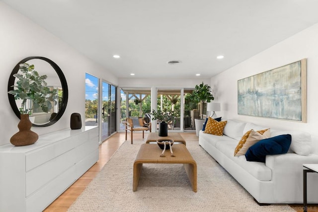 living room with light hardwood / wood-style flooring