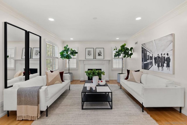 living room featuring light hardwood / wood-style flooring and crown molding