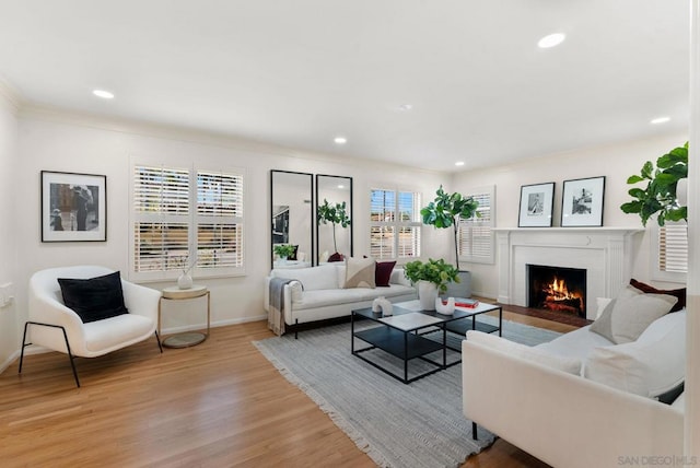 living room featuring light hardwood / wood-style flooring, crown molding, and a fireplace