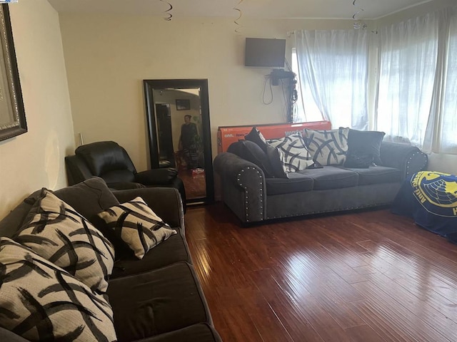 living room with dark wood-type flooring