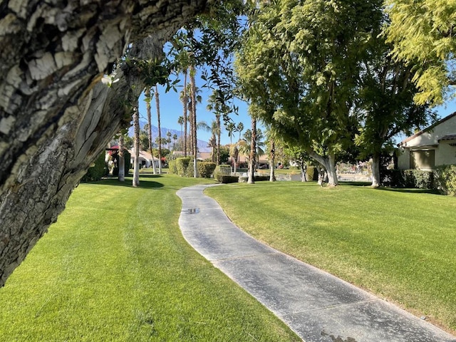 view of community with a lawn