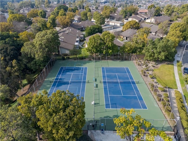 bird's eye view