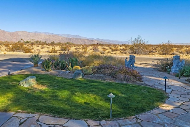 view of yard with a mountain view