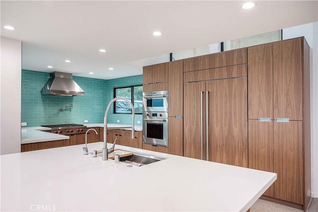 kitchen with ventilation hood, stainless steel appliances, decorative backsplash, and sink