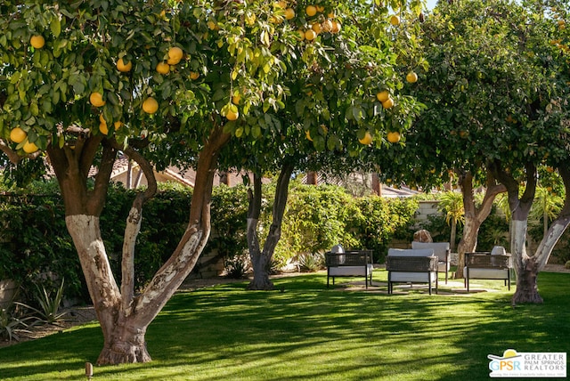 view of home's community featuring a yard and an outdoor living space