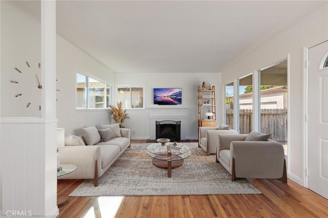 living room featuring plenty of natural light and hardwood / wood-style floors