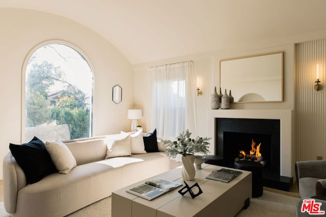 living room featuring vaulted ceiling