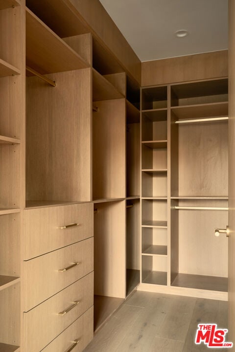 walk in closet with light wood-type flooring