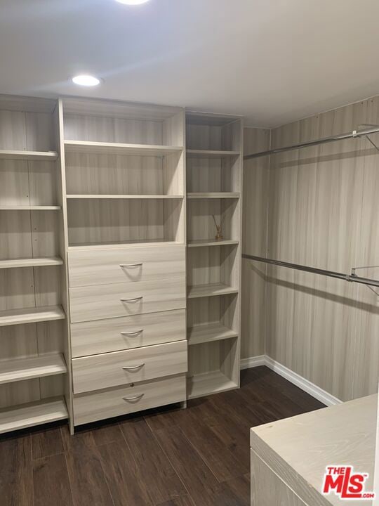 walk in closet featuring dark hardwood / wood-style flooring