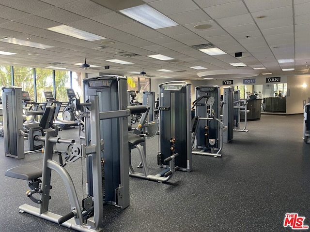 gym with floor to ceiling windows, a drop ceiling, and ceiling fan